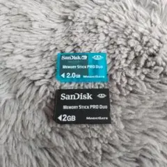 SONY Memory Stick PRO Duo 2GB スケルトン