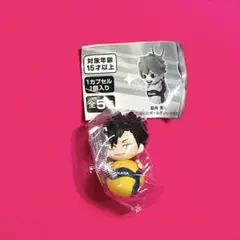 ハイキュー　MIKASA ぶら〜ん　コラボスイング　ガチャ　黒尾鉄朗　クロ