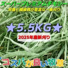 Item thumbnail for item 7447801f-4a48-4abb-82f5-f215a90b7f57