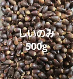 Item thumbnail for item fa3ecead-2aef-4975-8852-77ba9f165192