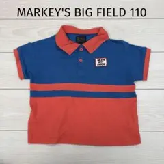 Item thumbnail for item 9728df9c-d3a2-4a86-a209-3955f1cdf1af