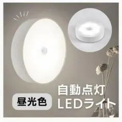 自動点灯 LEDライト 昼光色 人感センサー