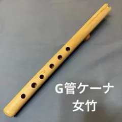 Item thumbnail for item 5bc8b11d-16af-4f0e-ba53-ad69b654aa3b