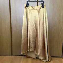 ダイアグラムF光沢スカート