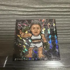 RIZIN WORLD SIRIES IN KOREA ケイト・ロータスシール