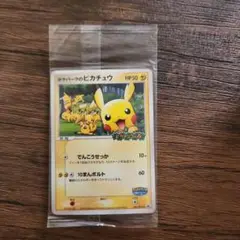 ポケパークのピカチュウ プロモカード 043/PCG-P 未開封
