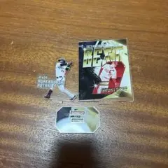 紅林選手　アクスタ