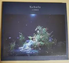 上田麗奈 Nebula リリース記念 ランダム缶バッジ 全10種 上田麗奈｜ニューアルバム「Nebula」店舗購入特典絵柄公開