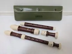 Item thumbnail for item 64c21d41-0348-4553-871b-c9135b361622