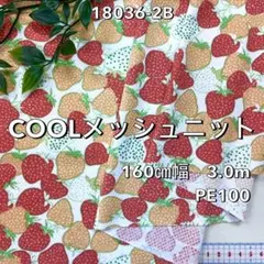 NO,18036-2B 160㎝幅 3.0m メッシュニット　イチゴ　オレンジ