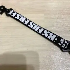 エビス　スノーボード用リシューコード①