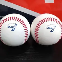 NPB12球団統一試合球 2球セット 新品未使用！プロ野球使用球