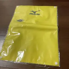 ミズノ ケース イエロー