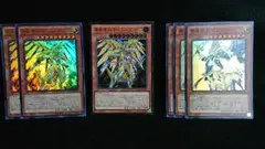 遊戯王 真竜セット