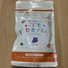 こども食育グミ ぶどう味 120g