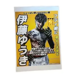 〈非売品〉伊藤裕樹 RIZINフライ級総選挙 本人手渡し ポスター風 チラシ