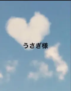 うさぎ様　専用