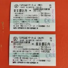 ぐるり北海道フリーきっぷ２枚組