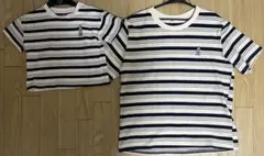 親子　リンクコ－デ　Tシャツ　ボーダ－くま　90 XL 親子お揃い