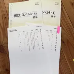 8/15まで‼️河合塾マナビス 現代文レベル3・4 大学受験