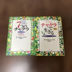 「7つのチャクラ」「チャクラで生きる」２冊セット　 (サンマーク文庫）
