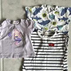 ベビー服 Tシャツセット 3枚組（80〜90）