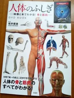 人体のふしぎ 映像と本でわかる!骨と筋肉