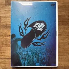 中古DVD：グループ魂「グループ魂の雨の野音（晴天決行）」