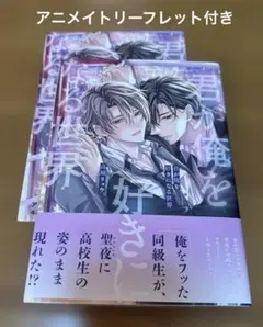 君が俺を好きになる世界