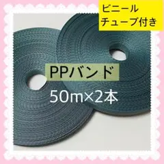 【S621】青緑系PPバンド 50m×2本　ビニールチューブ