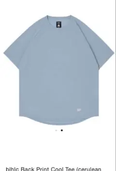blhlc ボーラホリック　cool tee Lサイズ