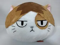 ハイキュー!! アニマルBIGぬいぐるみ2 ケンマネコ