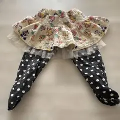 チェリッチュ スカッツ