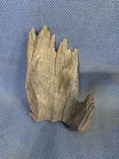 Item thumbnail for item 14f8390d-4996-4b21-9db9-1347fb5636fb