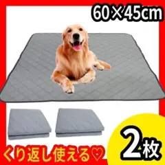 Item thumbnail for item 87d126cd-a791-4349-b33d-5699024a00f3