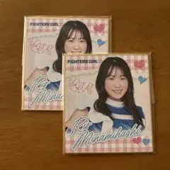 【入手不可能】ファイターズガール 2024 色紙 南橋りお 2枚セット