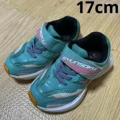Item thumbnail for item c0e2692d-8dc7-4f9f-bb35-f924c8315947