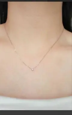 ebine Tiny Carat Necklace　エビネ