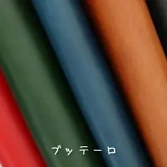 タガメ様