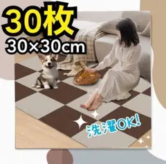 Item thumbnail for item f4f7f9c5-2dc9-4100-bac8-ebbee35da6b8