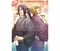 【新品】薄桜鬼 真改 天雲ノ抄 描きおろしA2タペストリー 土方歳三、風間千景