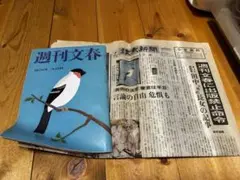 週刊文春　平成16年3月25日号
