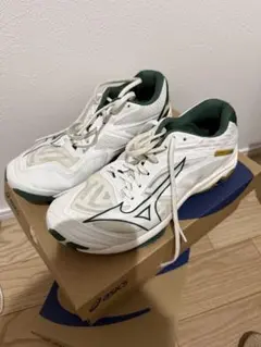 Item thumbnail for item b90f87ab-760a-41b5-8f97-1d1e4707a84e