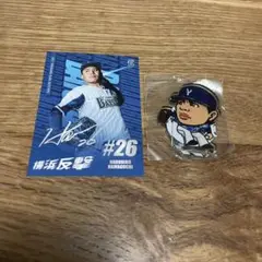横浜DeNAベイスターズ 濱口選手セット