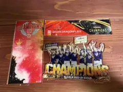 広島ドラゴンフライズ　優勝記念　アクリルパネル