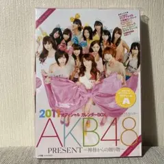 【未開封】AKB48 オフィシャルカレンダーBOX 2011
