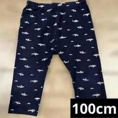 Item thumbnail for item 1ba652a1-72e2-47a1-961d-432844417604