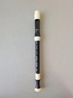 Item thumbnail for item fec8fab7-cf30-4e33-a4bd-ce889e8568db