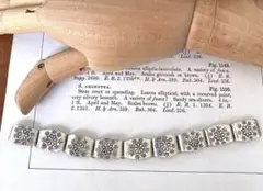 Item thumbnail for item 5b9947c8-22da-4d1b-9a72-44852d2067eb