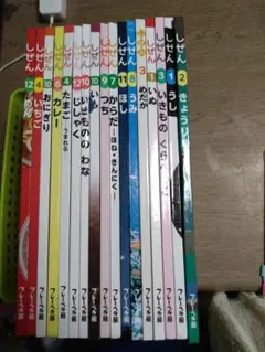 最終価格しぜん 絵本セット 全17冊